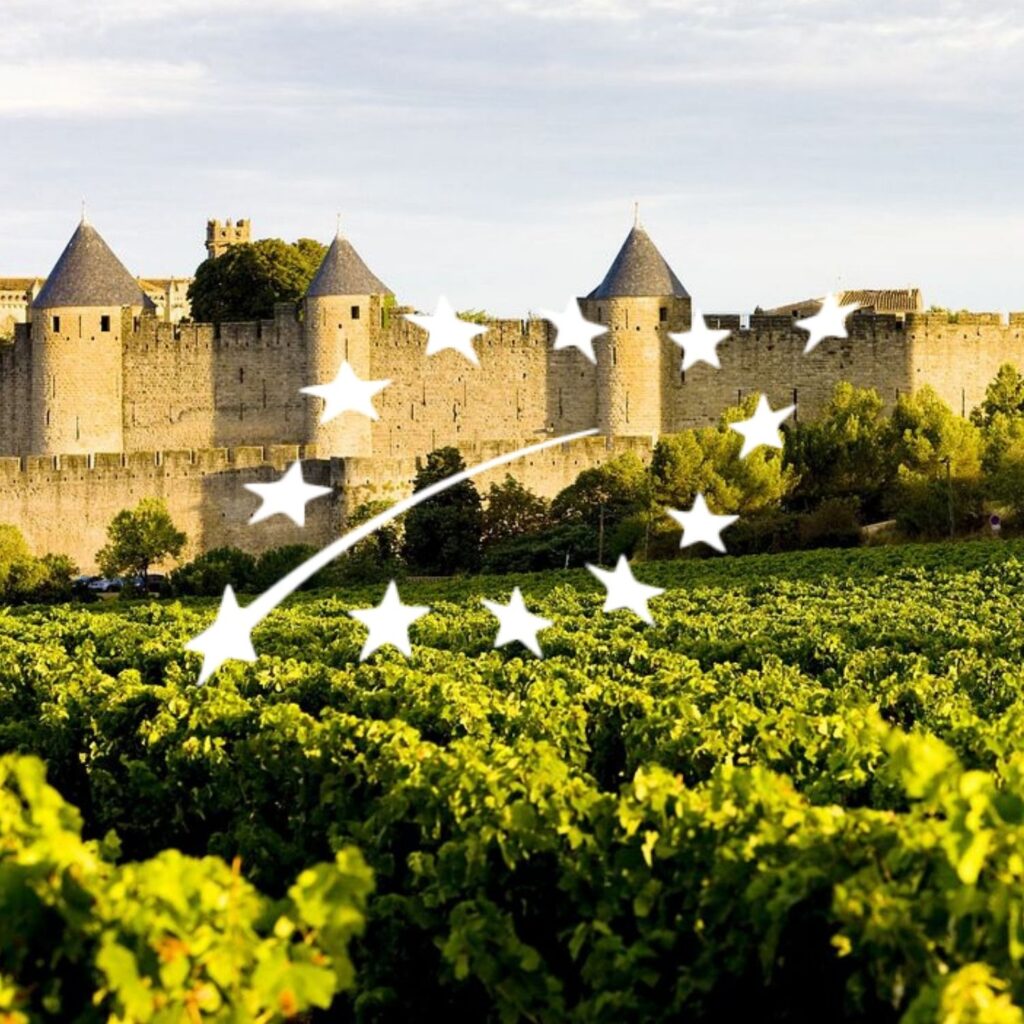 Le vin bio, c’est quoi ?