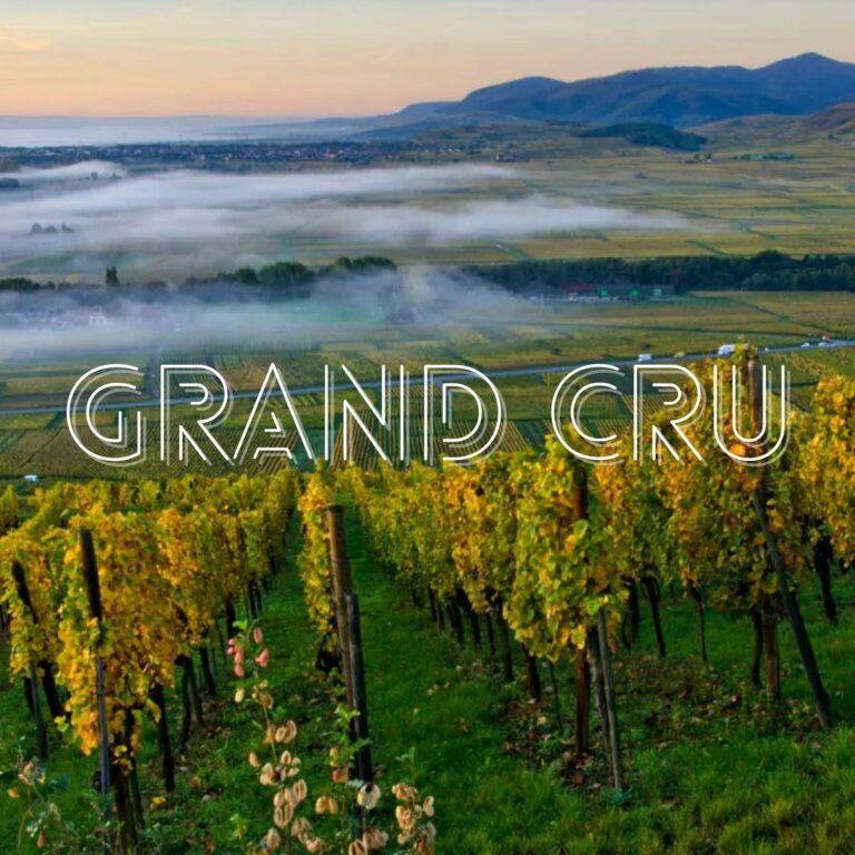 Un Grand Cru, c&rsquo;est quoi ?
