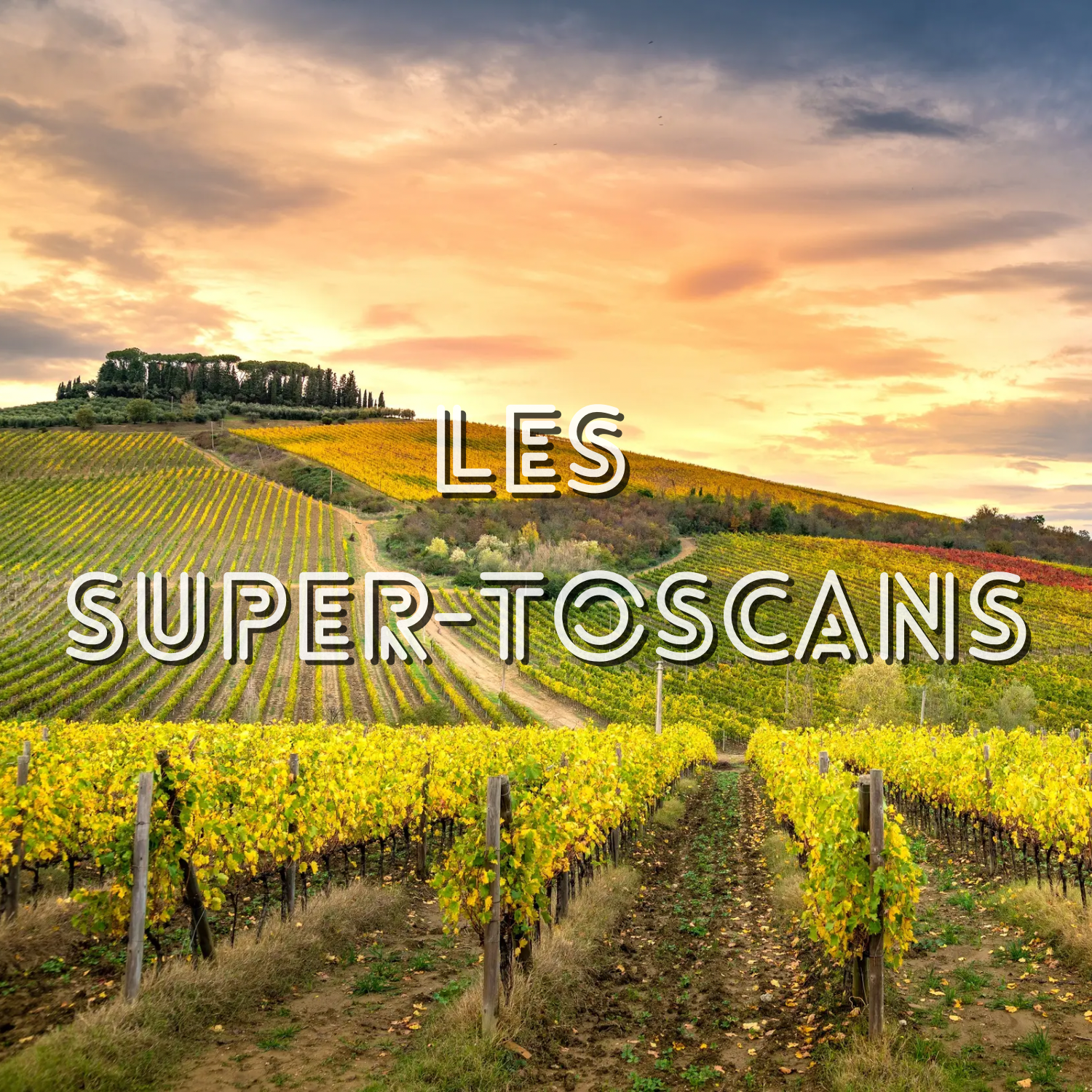 Les Super-Toscans, c&rsquo;est quoi ?