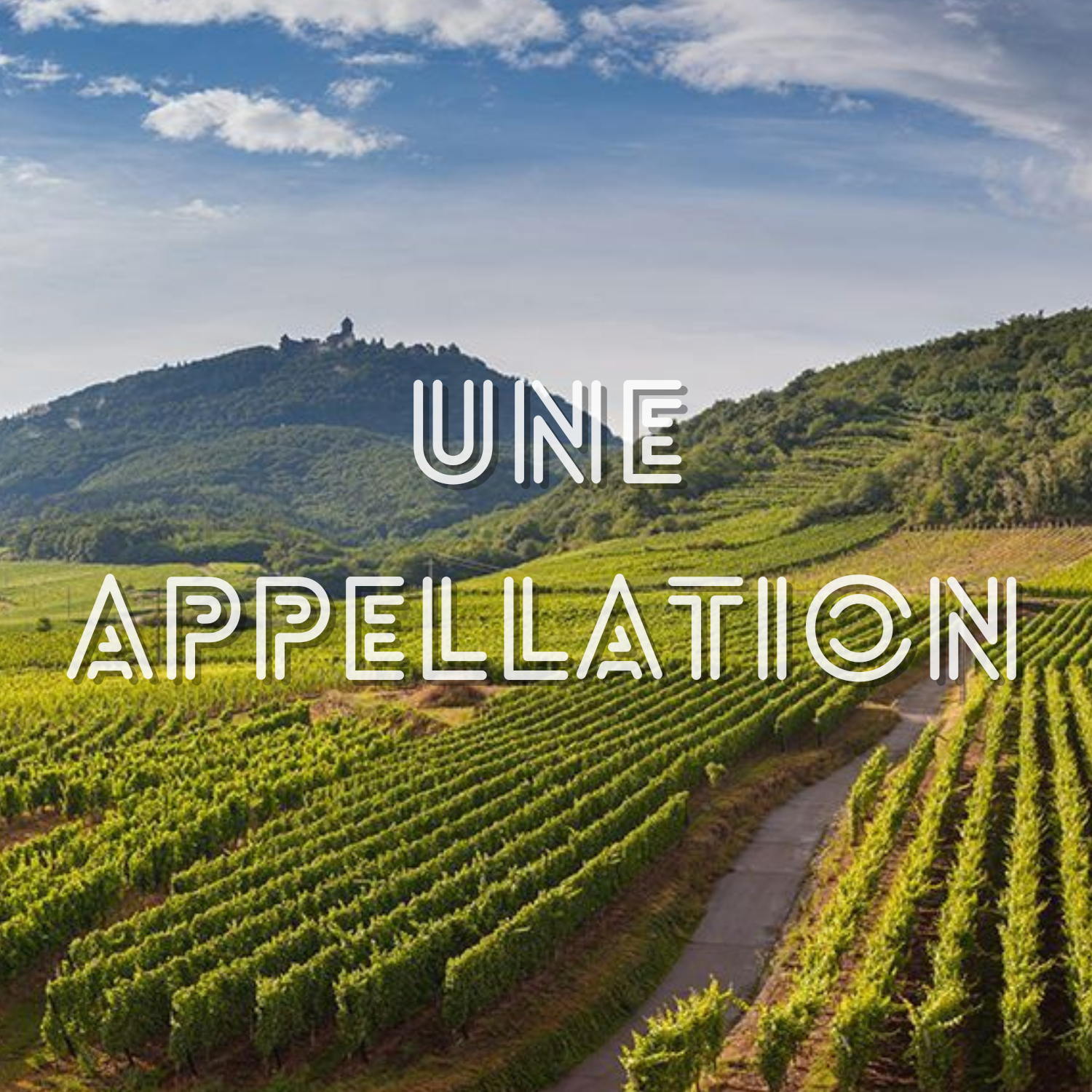 Une appellation, c&rsquo;est quoi ?