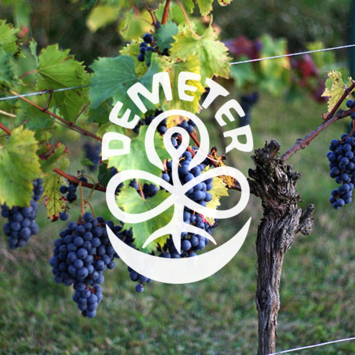 La biodynamie, c&rsquo;est quoi ?