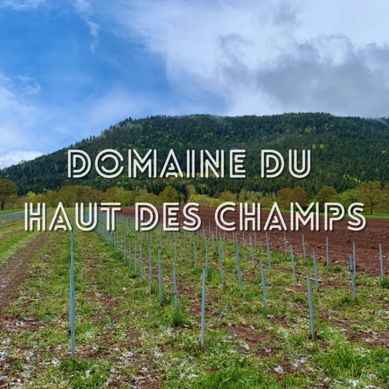 Escapade vigneronne au Domaine du Haut des Champs