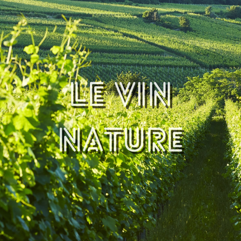 Le vin nature, c&rsquo;est quoi ?