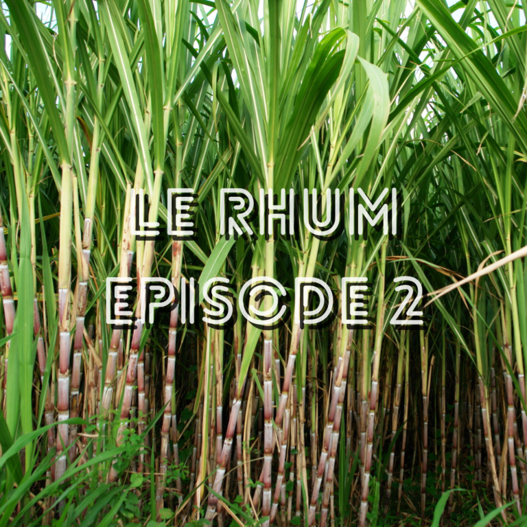 Le rhum, c&rsquo;est quoi ? Episode 2