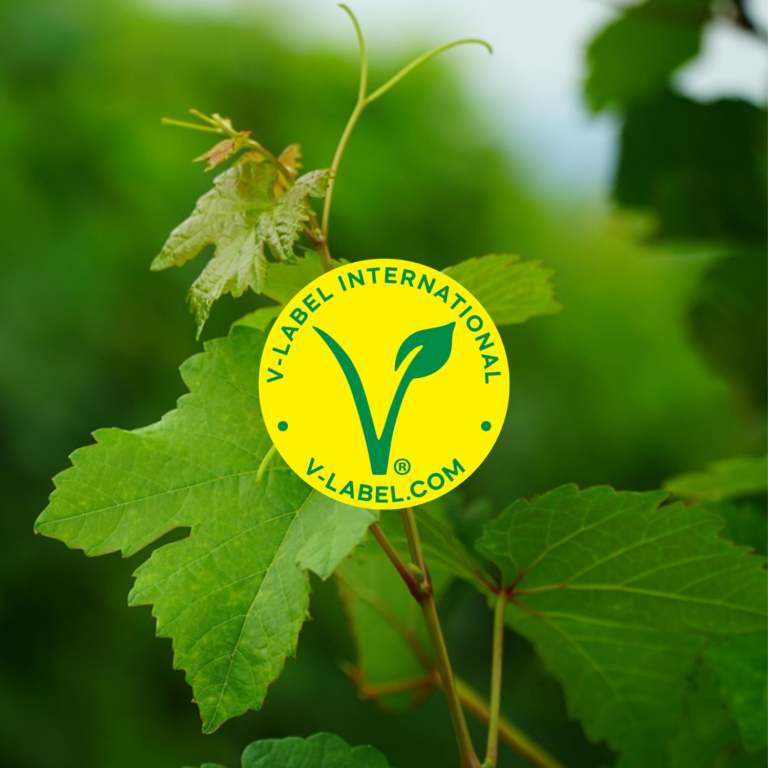 Le vin vegan, c&rsquo;est quoi ?